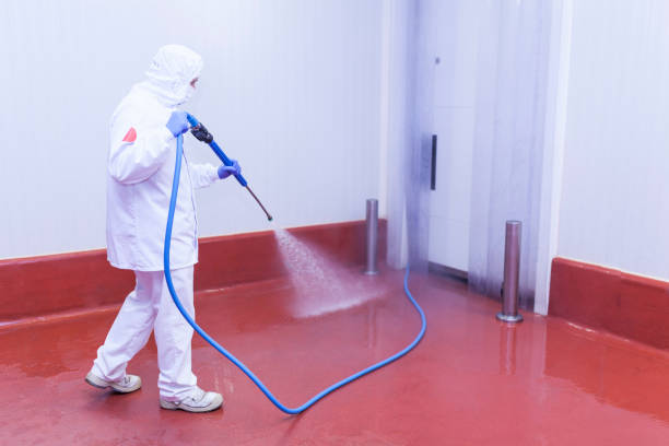 Best Pre-Holiday Cleaning  in Poplarville, MS